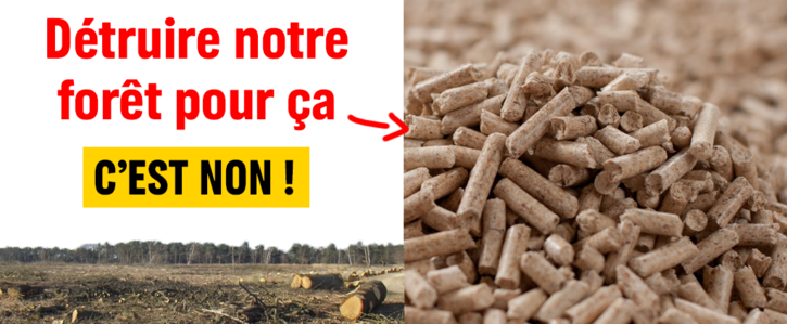 Visuel pellets Salins - pétition GreenVoice